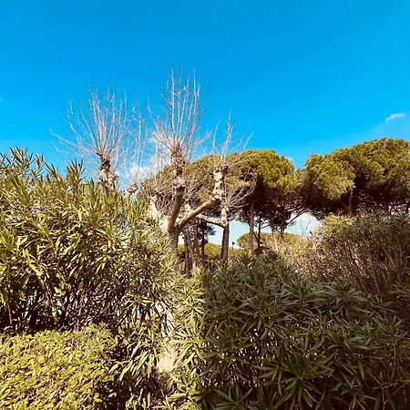 Noble Escale, Et Parking Lägenhet La Grande Motte